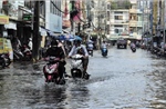 Cà Mau chủ động ứng phó triều cường vượt báo động III