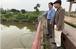 Hải Phòng: Ứng phó với xâm nhập mặn, kiểm soát tốt chất lượng nước đầu vào hệ thống thuỷ lợi