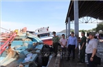  TP Hồ Chí Minh siết chặt quản lý tàu cá không đủ điều kiện ra khơi