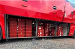 Phát hiện vụ vận chuyển 676 con rắn hổ mang trên xe khách
