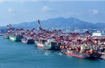 Vì sao thương mại toàn cầu vẫn đứng vững trước cơn bão thuế quan?