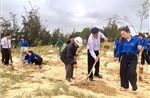 Quảng Trị phấn đấu trồng 3,5 triệu cây xanh, tăng cường 'lá chắn xanh' bảo vệ bờ biển