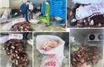 Phát hiện gần 6 tấn xương trâu, bò trôi nổi bán cho quán phở, quán nhậu