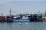 Gia Lai là tỉnh đầu tiên lắp máy giám sát hành trình cho tàu cá từ 12 đến dưới 15m
