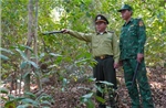 Đảo Hòn Khoai sớm chủ động '4 tại chỗ' bảo vệ hơn 500 ha rừng đặc dụng