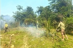 Nắng nóng gay gắt, liên tiếp xảy ra cháy rừng ở Nghệ An 