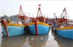 Khắc phục 'thẻ vàng' IUU: Siết chặt quản lý đội tàu, kiểm soát sản lượng khai thác