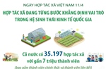 Hợp tác xã đang từng bước khẳng định vai trò trong hệ sinh thái kinh tế quốc gia