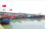 Nghệ An có 5 khu neo đậu tránh trú bão cho tàu cá đủ điều kiện hoạt động