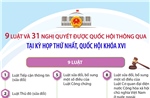 Thông tin về 9 luật và 31 nghị quyết được Quốc hội thông qua tại Kỳ họp thứ nhất, Quốc hội khóa XVI