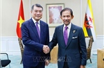 Tăng cường quan hệ hữu nghị và hợp tác Việt Nam với các nước ASEAN và Ngân hàng ADB