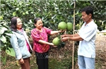 Giảm chi phí, tăng giá trị, sản xuất hữu cơ trở thành xu hướng