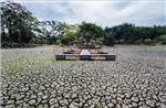 Nhiều khả năng xuất hiện El Nino cực mạnh trong năm nay