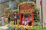 Mexico biến trung tâm thủ đô thành 'bảo tàng hoa' khổng lồ