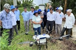 Ứng dụng số giúp nông dân làm giàu từ 'cánh đồng thông minh'