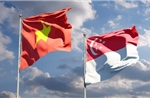Vai trò của kiều bào trong quan hệ Đối tác Chiến lược toàn diện Việt Nam - Singapore