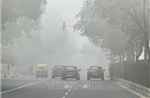 Thủ đô Ấn Độ mạnh tay loại bỏ xe cũ, cải thiện chất lượng không khí