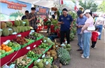 Tôn vinh và quảng bá nông sản bản địa qua Ngày hội sông nước miệt vườn