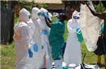Khoảng 500 ca mắc virus Ebola được xác nhận ở Trung Phi