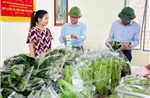 Đồng hành cùng phụ nữ khởi nghiệp trong kỷ nguyên số