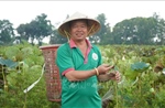 Đồng Tháp kể câu chuyện tăng giá trị cho cây sen
