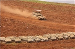 Diễn biến trái chiều liên quan triển vọng hòa bình Israel - Liban