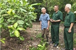 Tỏa sáng phẩm chất cao đẹp của Bộ đội Cụ Hồ trong thời bình