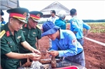 Phát hiện mộ tập thể cùng nhiều di vật; lấy mẫu hài cốt liệt sĩ để giám định