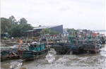 Khẩn trương ứng phó bão số 1, dồn lực bảo vệ người dân vùng nguy hiểm