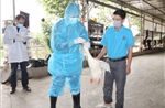 Khống chế, ngăn chặn nguy cơ dịch cúm gia cầm lây lan trên diện rộng
