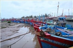Ứng phó bão số 1: Không để bị động trước mọi tình huống