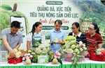 Đa dạng hình thức quảng bá và tiêu thụ đặc sản na núi đá Lạng Sơn