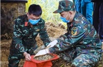 Chiến dịch 500 ngày đêm: Hành trình đưa hai liệt sĩ trở về từ đỉnh đèo Pha Đin