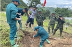 Đồng bộ dữ liệu, mang lại hi vọng cho hàng nghìn gia đình liệt sĩ