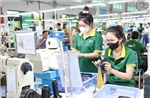 Các nguồn lực hỗ trợ doanh nghiệp, hộ kinh doanh thuộc Hệ sinh thái tận dụng các FTA
