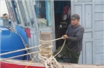 Thanh Hóa: Kêu gọi tàu thuyền về nơi tránh trú bão, bảo đảm an toàn đê điều