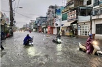 TP Hồ Chí Minh: Đầu tư gần 228 tỷ đồng xây dựng 89 công trình phòng, chống thiên tai