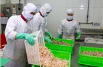 Hiệu quả thực thi 6 năm Hiệp định thương mại tự do Việt Nam - EU