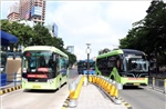 TP Hồ Chí Minh ưu tiên cho xe buýt khi tổ chức giao thông đô thị