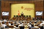 Đề xuất tháo gỡ vướng mắc đất nông, lâm trường, thúc đẩy tích tụ đất nông nghiệp