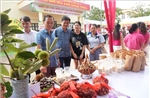 Lễ hội mùa hạt dẻ năm 2026 tại Lạng Sơn