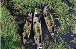 Mùa thu hoạch hoa súng ở Bangladesh