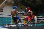 Hơn 400 vận động viên tranh tài tại Giải vô địch Kickboxing các nhóm tuổi Quốc gia 2026