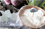 Đưa kết quả chọn tạo hai giống lúa mới từ nghiên cứu ra đồng ruộng