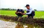 Xâm nhập mặn có thể lấn sâu tại Đồng bằng sông Cửu Long 