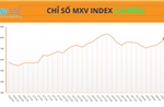 MXV-Index tăng phiên thứ 5 liên tiếp, vượt mốc 2.800 điểm