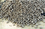 Dự án khai thác phốt phát đáy biển đầu tiên trên thế giới