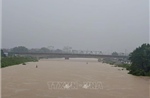 Cảnh báo lũ cao trên sông Lục Nam, sông Thương và sông Cửu Long
