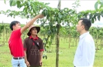 Điểm tin kinh tế Việt Nam nổi bật ngày 5/8/2026