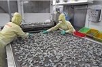 Xuất khẩu nông, lâm, thủy sản tăng gần 12%